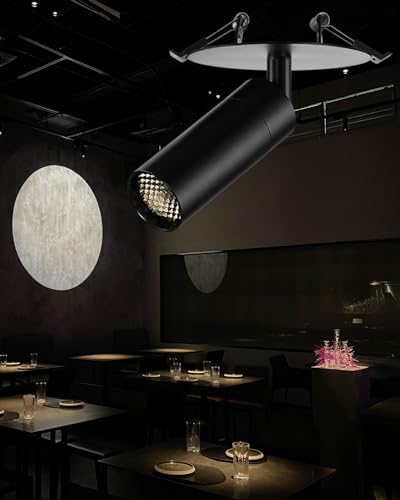 bigskygo76　1207 Gpaillumic Flush Mount LED Ceiling Spotlight, 7W Zoomable